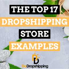The 17 Top Dropshipping Store Examples (Get Inspired Now)