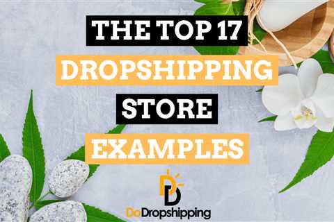 The 17 Top Dropshipping Store Examples (Get Inspired Now)