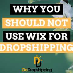 Why You Should Not Use Wix for Dropshipping in 2024