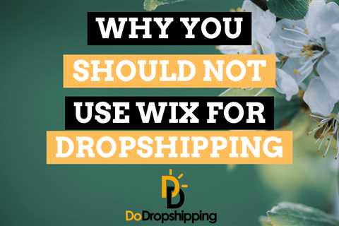 Why You Should Not Use Wix for Dropshipping in 2024